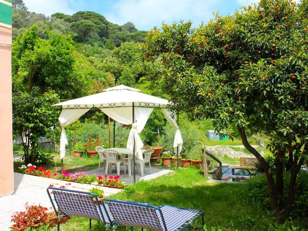 Appartamento Di Prestigio- Ca Da Lina - Deiva Marina Exterior foto